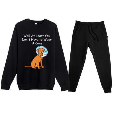 Funny Get Well Soon At Least You Dont Have Cancer Recovery Premium Crewneck Sweatsuit Set