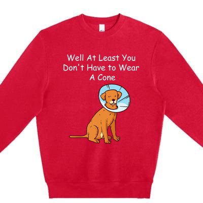 Funny Get Well Soon At Least You Dont Have Cancer Recovery Premium Crewneck Sweatshirt