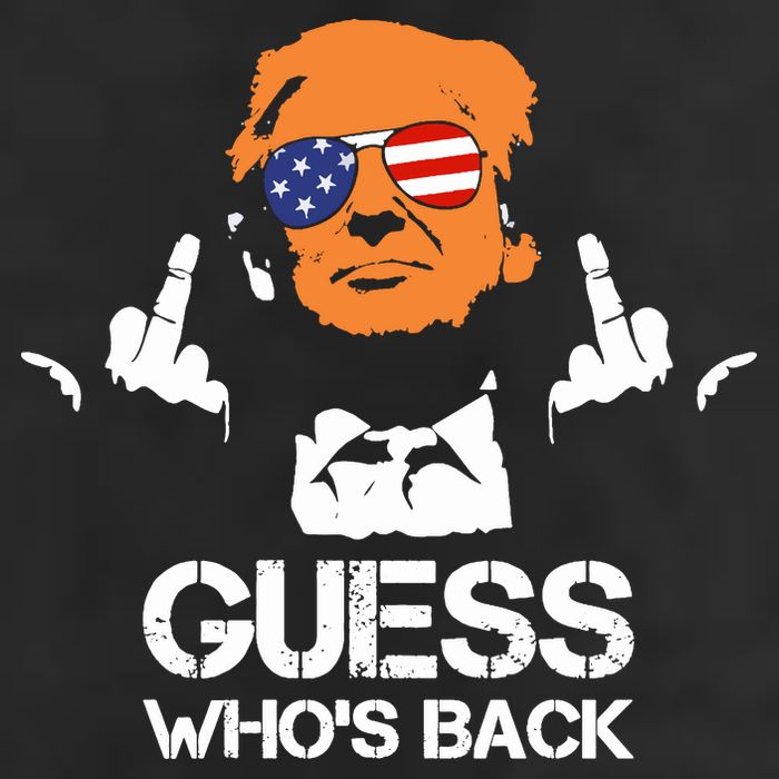 Funny Guess Who Is Back President Trump 2024 Garment-Dyed Heavyweight T-Shirt
