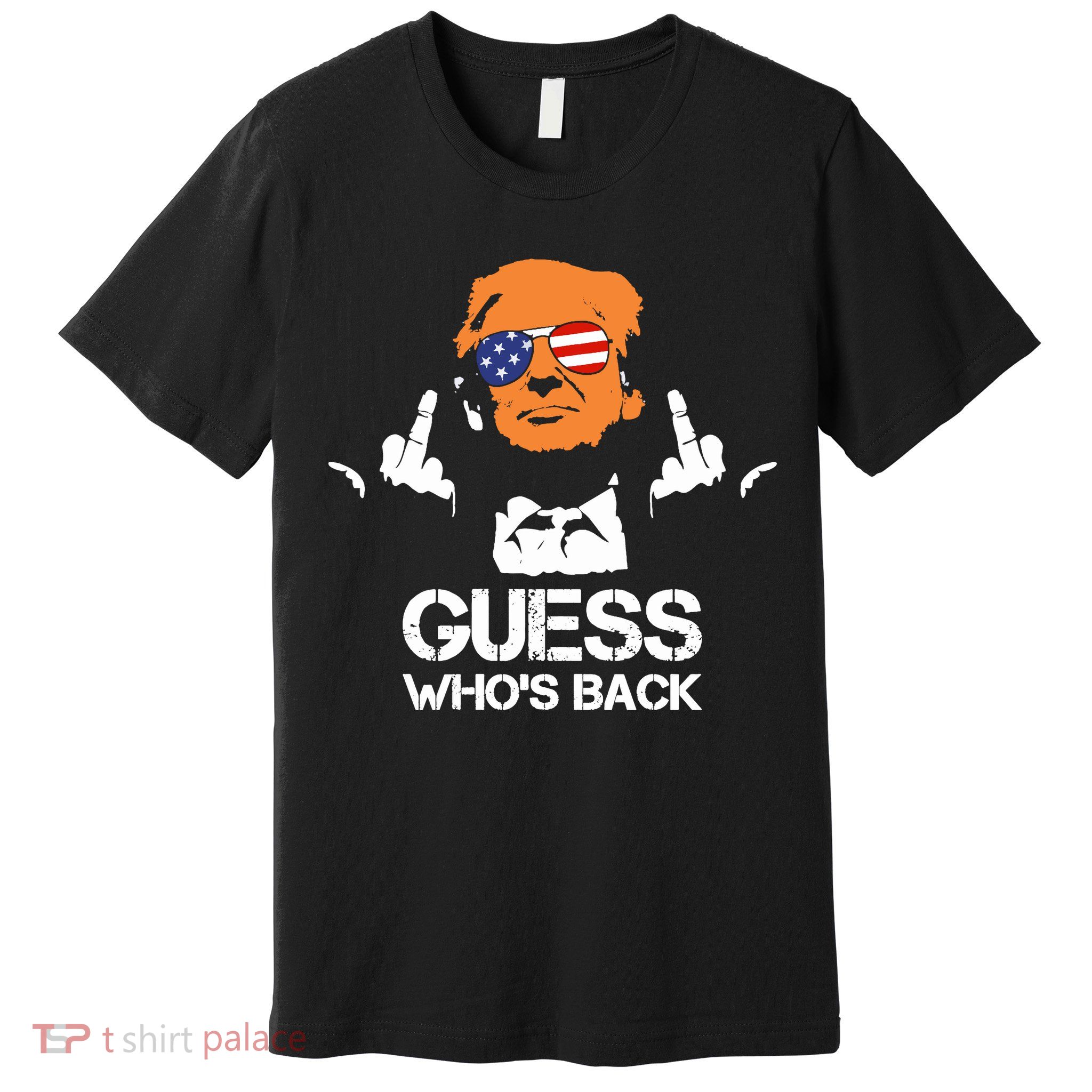 Funny Guess Who Is Back President Trump 2024 Premium T-Shirt