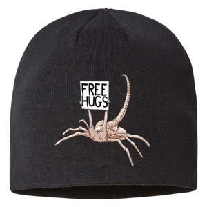 Free Hugs Alien Sustainable Beanie