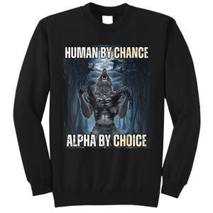 Funny Human By Chance Alpha By Choice Gift Tall Sweatshirt