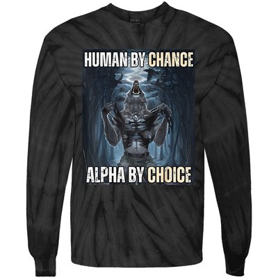 Funny Human By Chance Alpha By Choice Gift Tie-Dye Long Sleeve Shirt