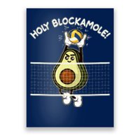 Funny Holy Blockamole Avocado Volleyball Poster