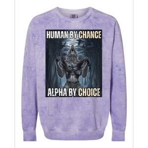 Funny Human By Chance Alpha By Choice Colorblast Crewneck Sweatshirt