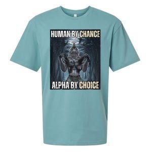 Funny Human By Chance Alpha By Choice Sueded Cloud Jersey T-Shirt