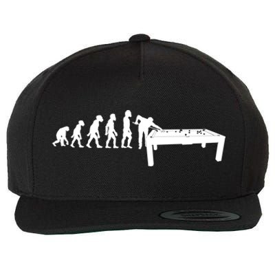 Funny Human Billiards Evolution 8 Ball Pool Cue Stick Player Meaningful Gift Wool Snapback Cap