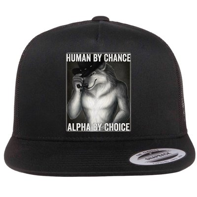 Funny Human By Chance Alpha By Choice Cool Alpha Wolf Meme Flat Bill Trucker Hat