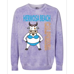 Funny Hermosa Beach Vacation Family Trip Meaningful Gift Colorblast Crewneck Sweatshirt