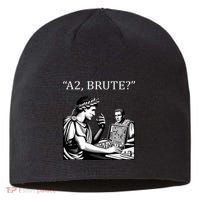 Funny History Caesar And Brutus Board Game Meme Sustainable Beanie