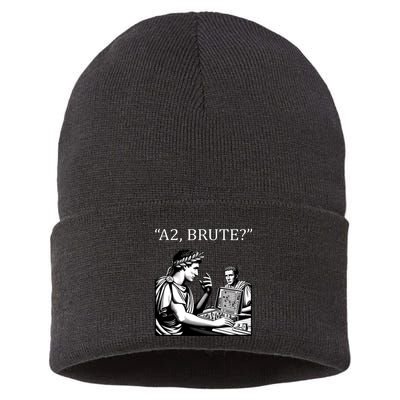 Funny History Caesar And Brutus Board Game Meme Sustainable Knit Beanie