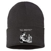 Funny History Caesar And Brutus Board Game Meme Sustainable Knit Beanie