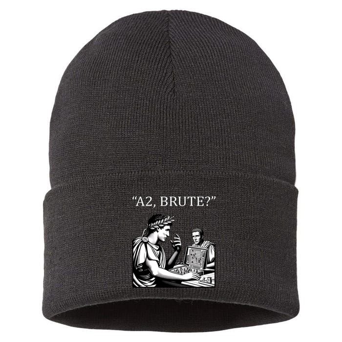 Funny History Caesar And Brutus Board Game Meme Sustainable Knit Beanie
