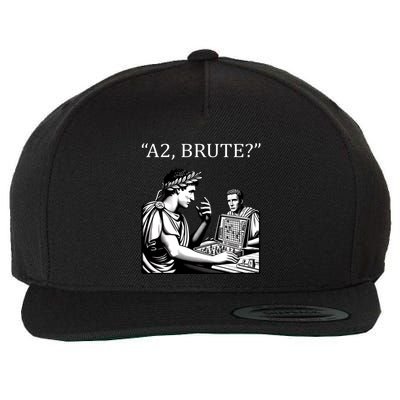 Funny History Caesar And Brutus Board Game Meme Wool Snapback Cap