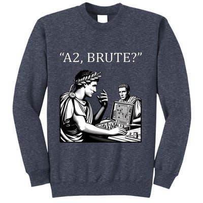 Funny History Caesar And Brutus Board Game Meme Sweatshirt