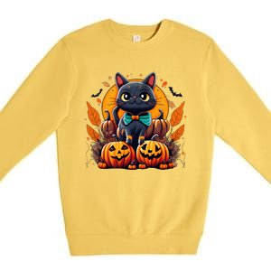 Funny Halloween Cat Costume Pumpkin Cat Black Cat Halloween Premium Crewneck Sweatshirt