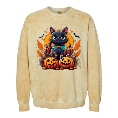 Funny Halloween Cat Costume Pumpkin Cat Black Cat Halloween Colorblast Crewneck Sweatshirt