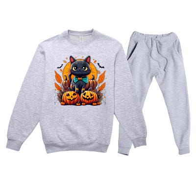 Funny Halloween Cat Costume Pumpkin Cat Black Cat Halloween Premium Crewneck Sweatsuit Set