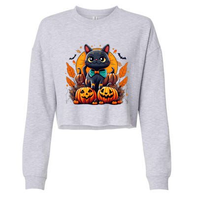 Funny Halloween Cat Costume Pumpkin Cat Black Cat Halloween Cropped Pullover Crew