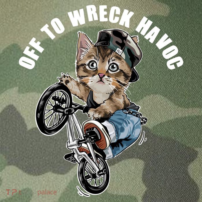 Funny Hiphop Cat Off To Wreck Havoc Legacy Tie Dye Trucker Hat