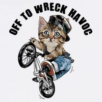 Funny Hiphop Cat Off To Wreck Havoc Flatbill Hat