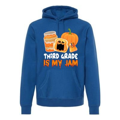 Funny Halloween Costume Team Third Grade Is My Jam 3Rd Grade Great Gift Premium Hoodie