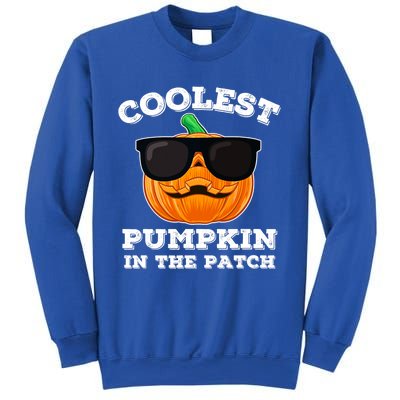 Funny Halloween Coolest Pumpkin In The Patch Gift Sweatshirt