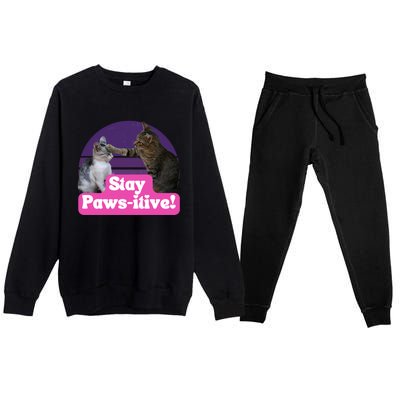 Funny Hilarious Cat Meme Kitty Feline Lover Stay Pawsitive Gift Premium Crewneck Sweatsuit Set