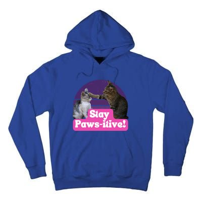 Funny Hilarious Cat Meme Kitty Feline Lover Stay Pawsitive Gift Tall Hoodie