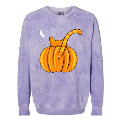 Funny Halloween Cat Butt Pumpkin Orange Tabby Lover Colorblast Crewneck Sweatshirt