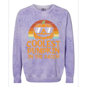 Funny Halloween Coolest Pumpkin In The Patch Cute Gift Colorblast Crewneck Sweatshirt