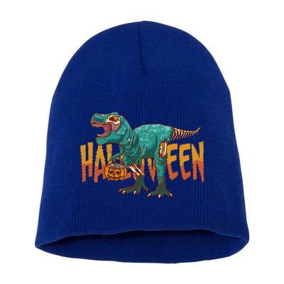 Funny Halloween Dinosaur Zombie T Rex Trick Rawr Treat Gift Short Acrylic Beanie