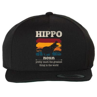 Funny Hippo Definition Cool Hippo Animals Humor Hippopotamus Wool Snapback Cap