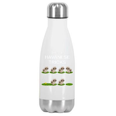 Funky Headed Dog Meaningful Gift Funny Havanese For Christmas Cool Gift Stainless Steel Insulated Water Bottle