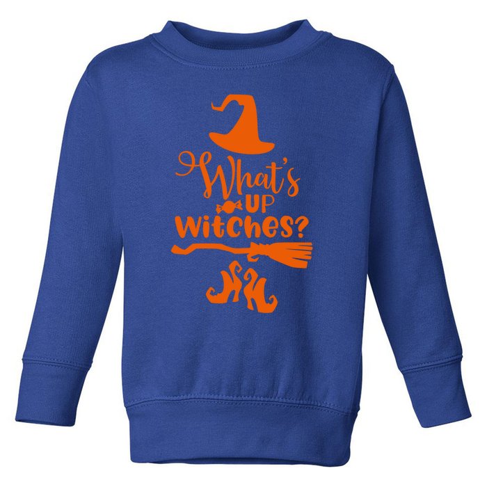 Funny Halloween Design/ Whats Up Witches? Gift Toddler Sweatshirt