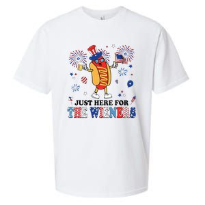 Fireworks Hot Dog I'm Just Here For The Wieners 4th Of July Sueded Cloud Jersey T-Shirt