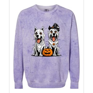 Funny Halloween Dog Ghost Mummy Dog Lover Matching Family Gift Colorblast Crewneck Sweatshirt