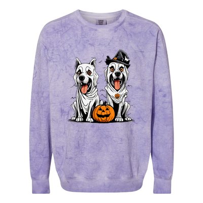 Funny Halloween Dog Ghost Mummy Dog Lover Matching Family Gift Colorblast Crewneck Sweatshirt