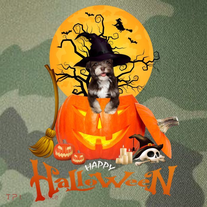 Funny Havanese Dog Spooky Halloween Legacy Tie Dye Trucker Hat