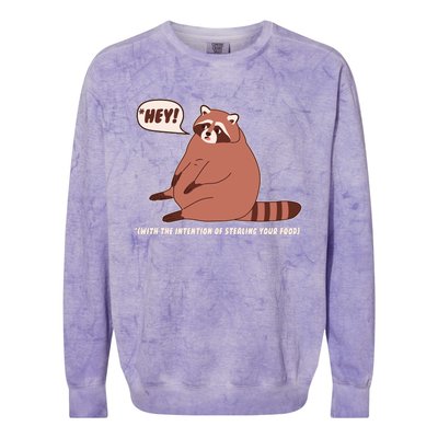 Funny Hey Fat Raccoon Stealing Your Food Colorblast Crewneck Sweatshirt