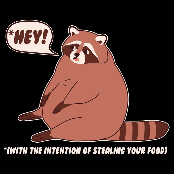 Funny Hey Fat Raccoon Stealing Your Food City Backpack