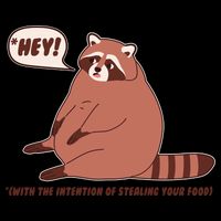 Funny Hey Fat Raccoon Stealing Your Food Mug