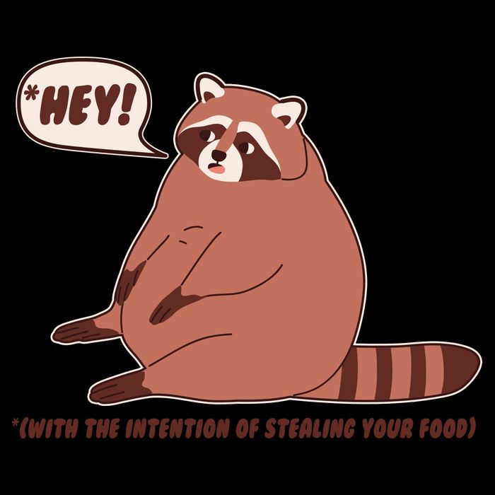 Funny Hey Fat Raccoon Stealing Your Food Mug