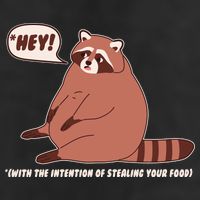 Funny Hey Fat Raccoon Stealing Your Food 11oz C Handle Ceramic Mug