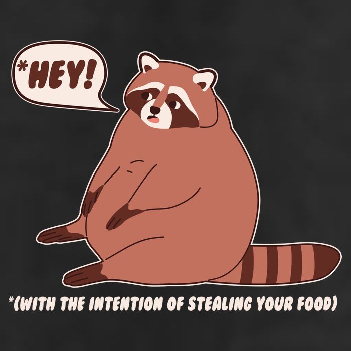 Funny Hey Fat Raccoon Stealing Your Food 11oz C Handle Ceramic Mug