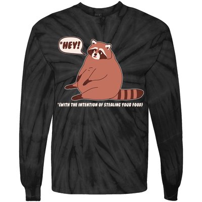 Funny Hey Fat Raccoon Stealing Your Food Tie-Dye Long Sleeve Shirt