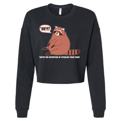 Funny Hey Fat Raccoon Stealing Your Food Cropped Pullover Crew