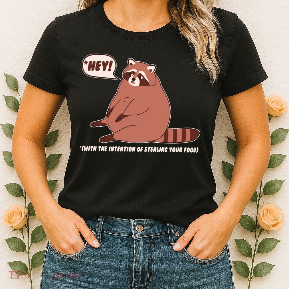Funny Hey Fat Raccoon Stealing Your Food Womens T-Shirt