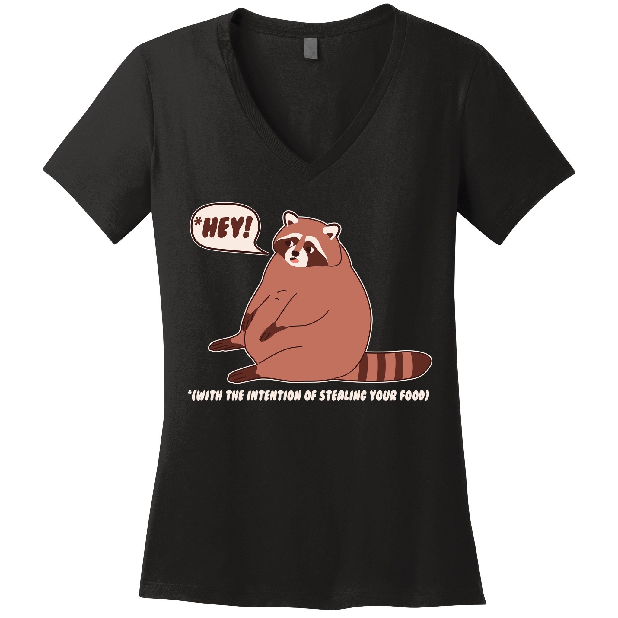 Funny Hey Fat Raccoon Stealing Your Food Women's V-Neck T-Shirt