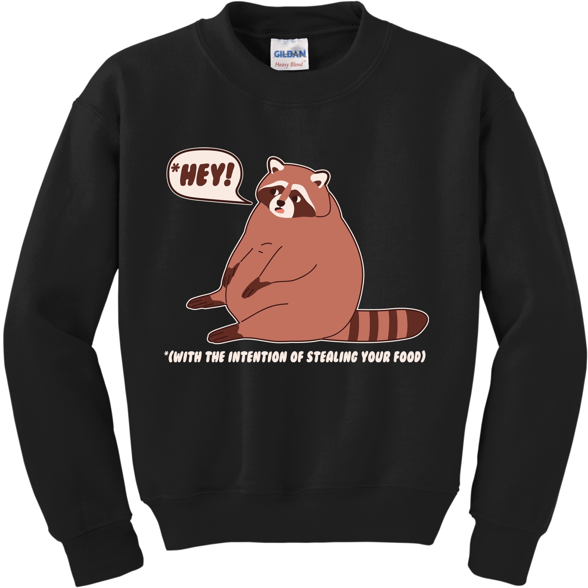 Funny Hey Fat Raccoon Stealing Your Food Kids Sweatshirt